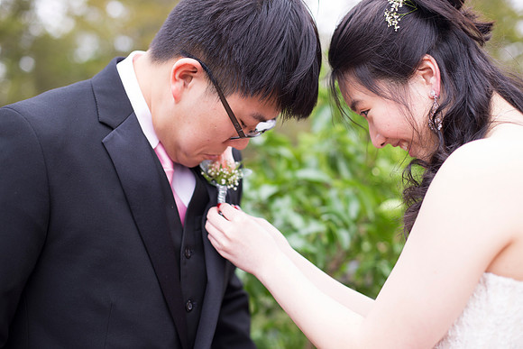 Copyright: MonicaHahnPhotography.com & FenceOgraphy.com