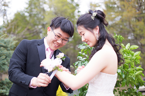 Copyright: MonicaHahnPhotography.com & FenceOgraphy.com