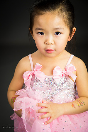 Copyright: MonicaHahnPhotography.com &FenceOgraphy.com