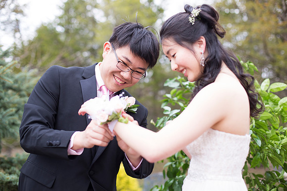Copyright: MonicaHahnPhotography.com & FenceOgraphy.com