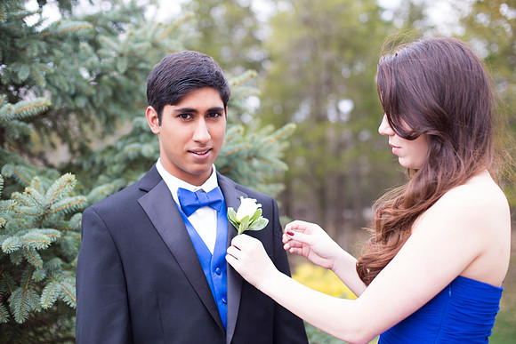 Copyright: MonicaHahnPhotography.com & FenceOgraphy.com