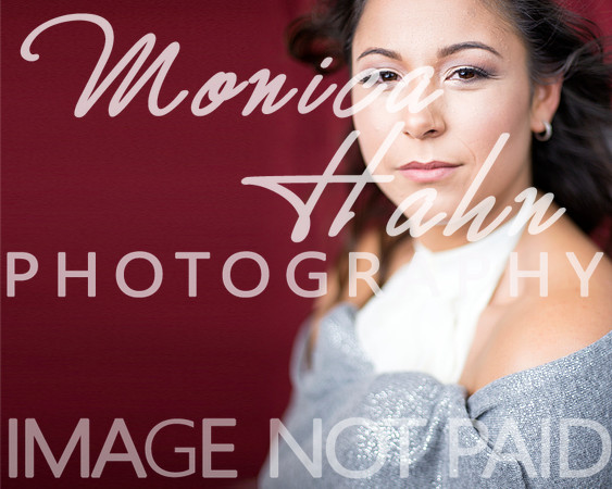 Copyright: MonicaHahnPhotography.com & FenceOgraphy.com