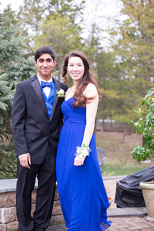 Copyright: MonicaHahnPhotography.com & FenceOgraphy.com