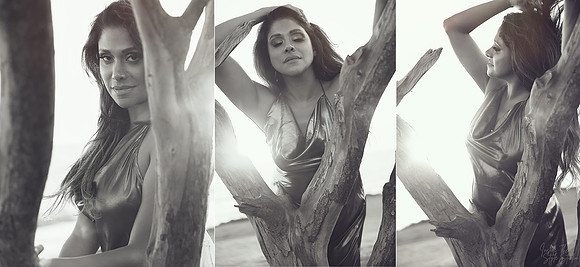 Sanders_Dawn Beach V2