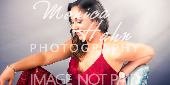 Copyright: MonicaHahnPhotography.com & FenceOgraphy.com