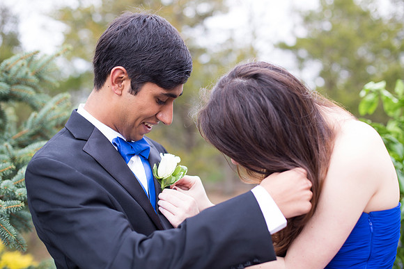 Copyright: MonicaHahnPhotography.com & FenceOgraphy.com