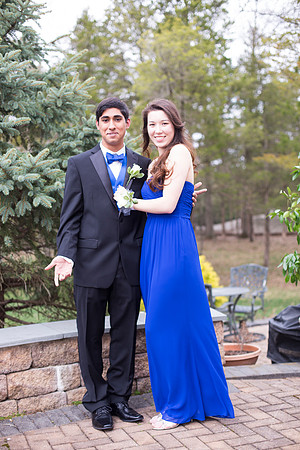 Copyright: MonicaHahnPhotography.com & FenceOgraphy.com
