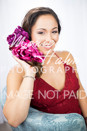 Copyright: MonicaHahnPhotography.com & FenceOgraphy.com