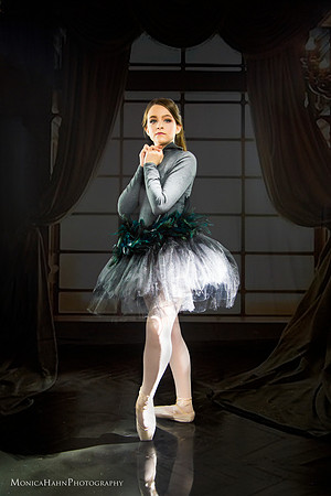 "dance photographer", "dance photography",  dance, dancer, ballet, pointe, jazz, lyrical, broadway, zed, "dancer dream fund", "shark cookie", sharkcookie,  abt, "american ballet theater", joffrey, "ba