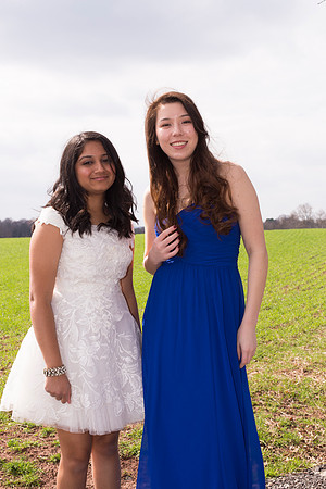 Copyright: MonicaHahnPhotography.com & FenceOgraphy.com