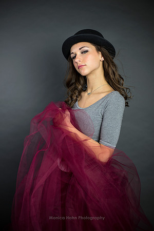 Copyright: MonicaHahnPhotography.com & FenceOgraphy.com
