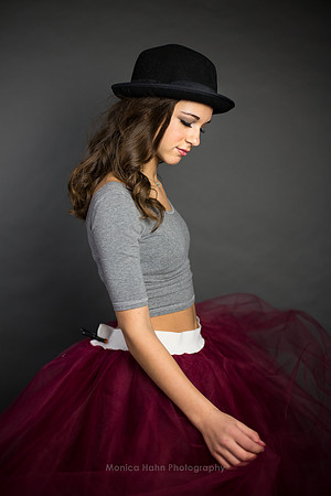 Copyright: MonicaHahnPhotography.com & FenceOgraphy.com