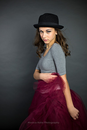 Copyright: MonicaHahnPhotography.com & FenceOgraphy.com