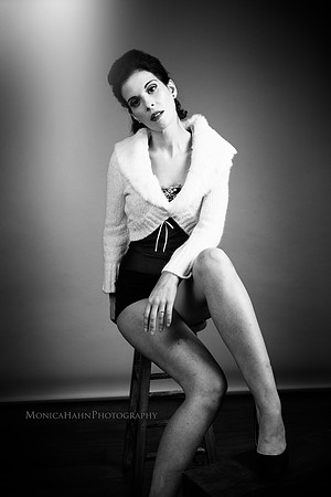 Copyright: MonicaHahnPhotography.com & FenceOgraphy.com