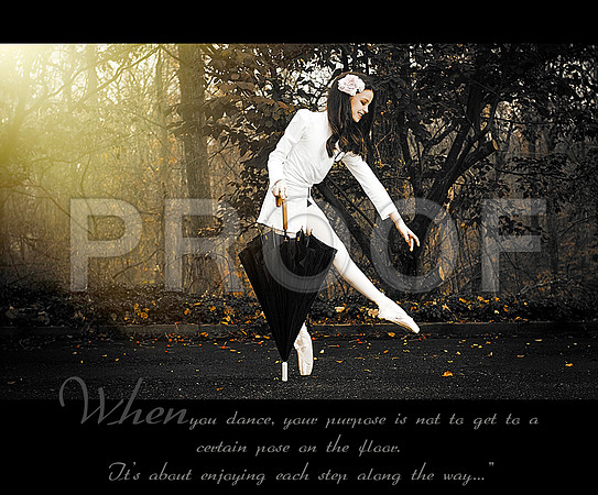 MonicaHahnPhotography, Monica Hahn, FenceOgraphy, sue bryce, fashion, teen vogue, photoshoot, beauty, glam the dress, portrait, portrait photographer, senior pictures, senior photo shoot, photo shoot,