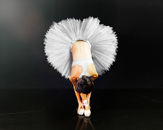 Copyright: MonicaHahnPhotography.com & FenceOgraphy.com
