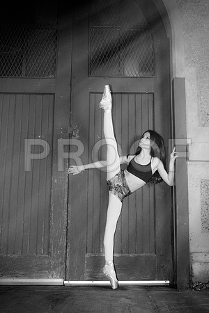MonicaHahnPhotography, Monica Hahn, FenceOgraphy, sue bryce, fashion, teen vogue, photoshoot, beauty, glam the dress, portrait, portrait photographer, senior pictures, senior photo shoot, photo shoot,