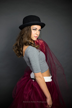 Copyright: MonicaHahnPhotography.com & FenceOgraphy.com