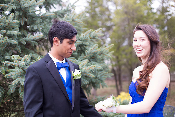 Copyright: MonicaHahnPhotography.com & FenceOgraphy.com