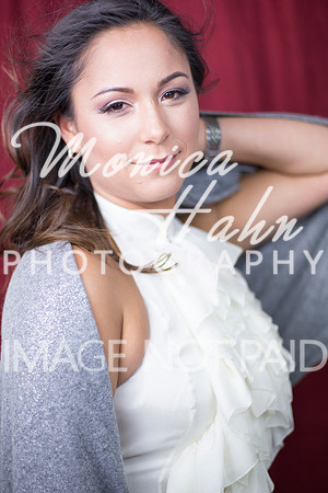 Copyright: MonicaHahnPhotography.com & FenceOgraphy.com