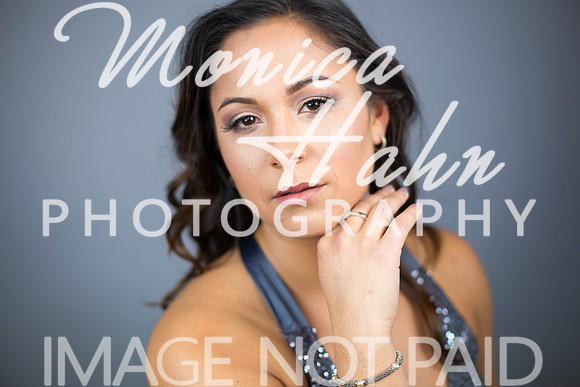 Copyright: MonicaHahnPhotography.com & FenceOgraphy.com