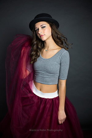 Copyright: MonicaHahnPhotography.com & FenceOgraphy.com